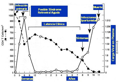 VIH INFECCION vih infeccion: