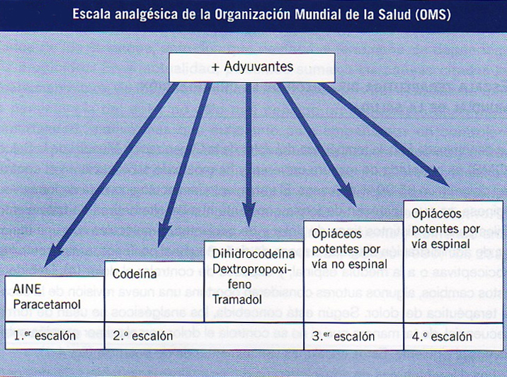 ESCALERA ANALGESICA OMS escalera analgesica oms: