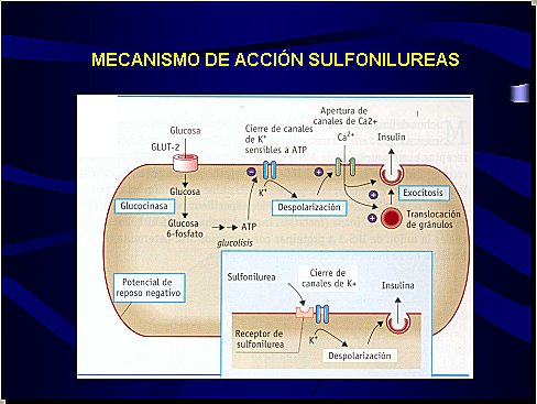 Manual Autocad 2010 Vagos