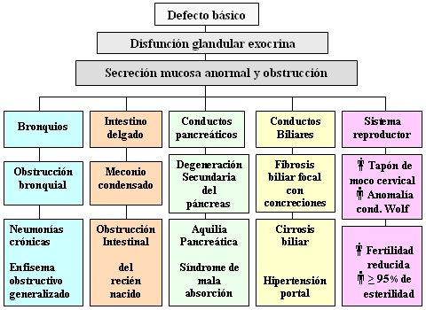 cuidados para un paciente con fibrosis quistica