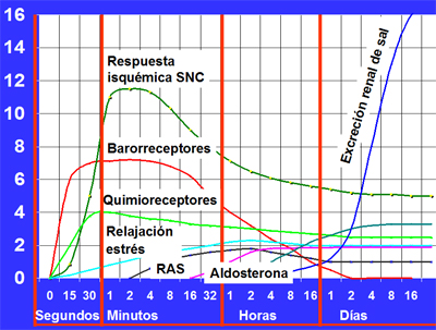 Baja renina alta aldosterona hipertensión en niños