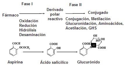 Haloperidole