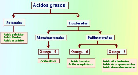 Efectos de los esteroides en el organismo