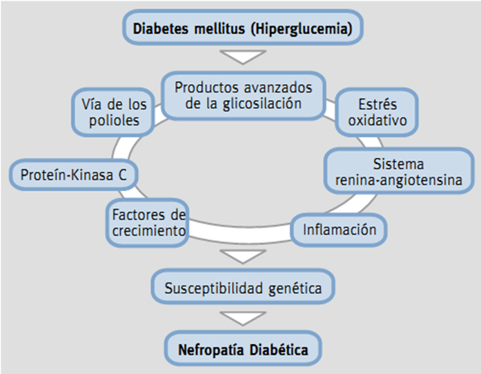 nefropatía diabética pdf 2021