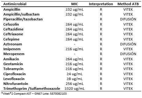 Carbapenemase Producing Klebsiella Pneumoniae In Peru A Case