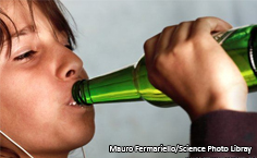 Expectativas hacia el consumo de alcohol en niños escolares entre 8 y 12 años de edad: estudio descriptivo