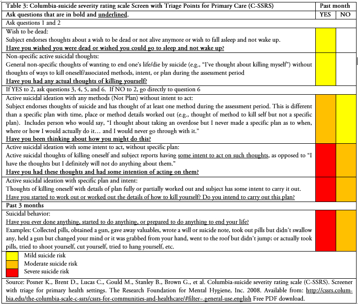 Suicidal risk assessments pdf