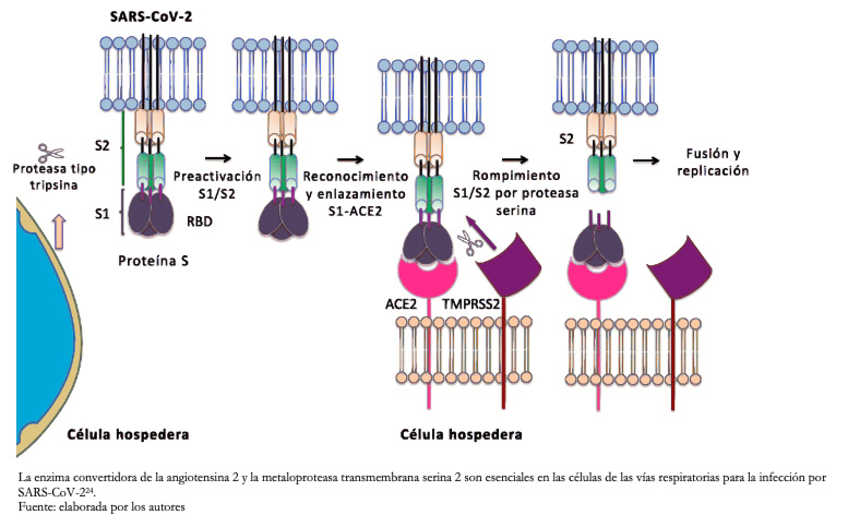 Alteraciones de parámetros de laboratorio en pacientes con SARS-CoV-2