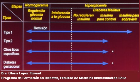 Que Es La Diabetes Mellitus Y Su Clasificacion Que Es La Diabetes Mellitus Y Su Clasificacion