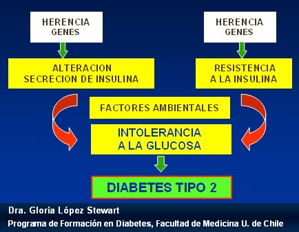 Que Es La Diabetes Mellitus Resumen Que Es La Diabetes Mellitus Resumen