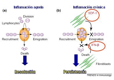 Reducir inflamación