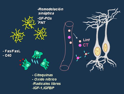 How To Teach esteroides farmacia portugal Like A Pro