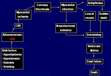Daño de órganos de hipertensión arterial