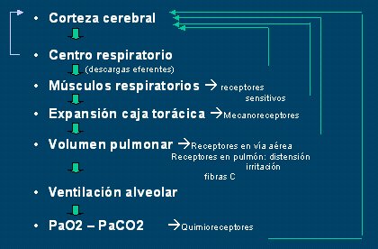 Estudio del paciente con disnea I: generalidades Estudio del paciente con disnea I: generalidades